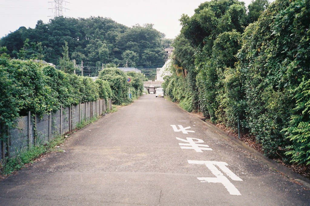 Archillect ID 385243