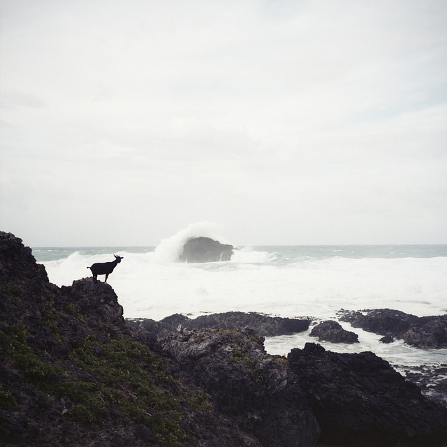 Archillect ID 385267