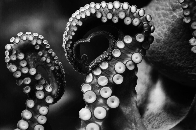 Archillect ID 385279