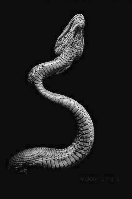 Archillect ID 385282