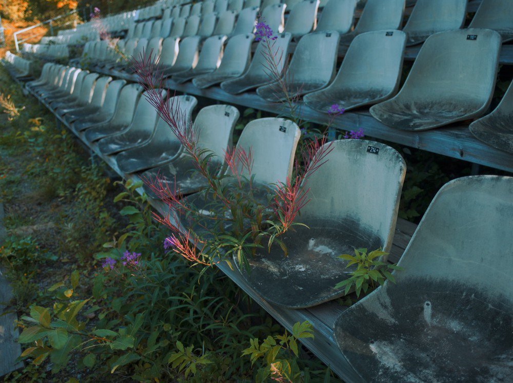 Archillect ID 385311