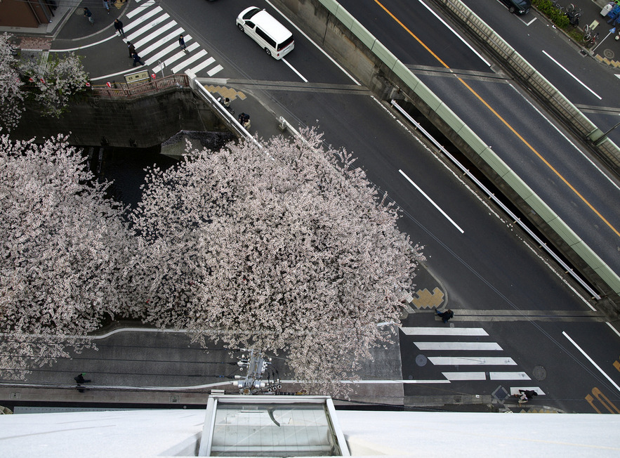 Archillect ID 385322