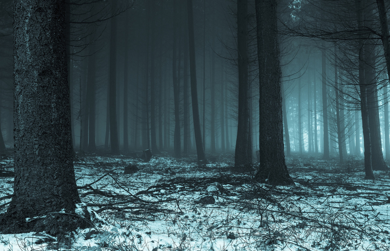 Archillect ID 385323