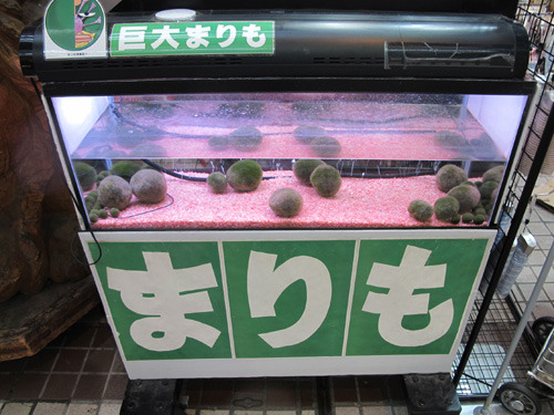 Archillect ID 385358