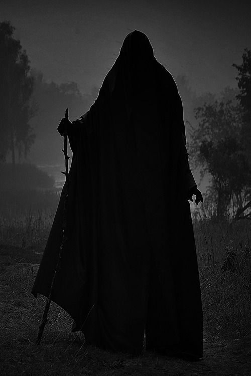 Archillect ID 385372