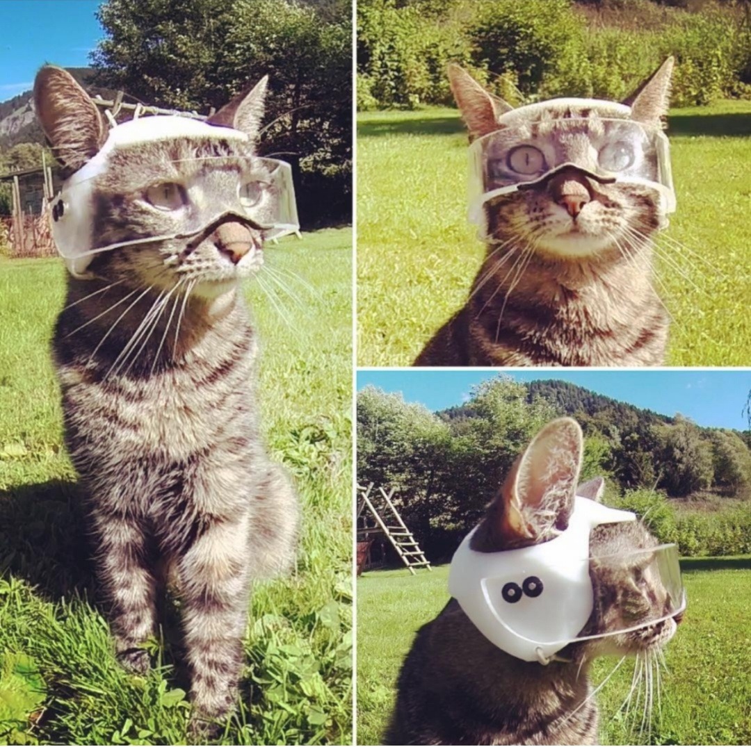 Archillect ID 385464