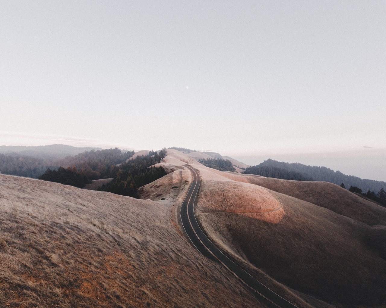 Archillect ID 385467