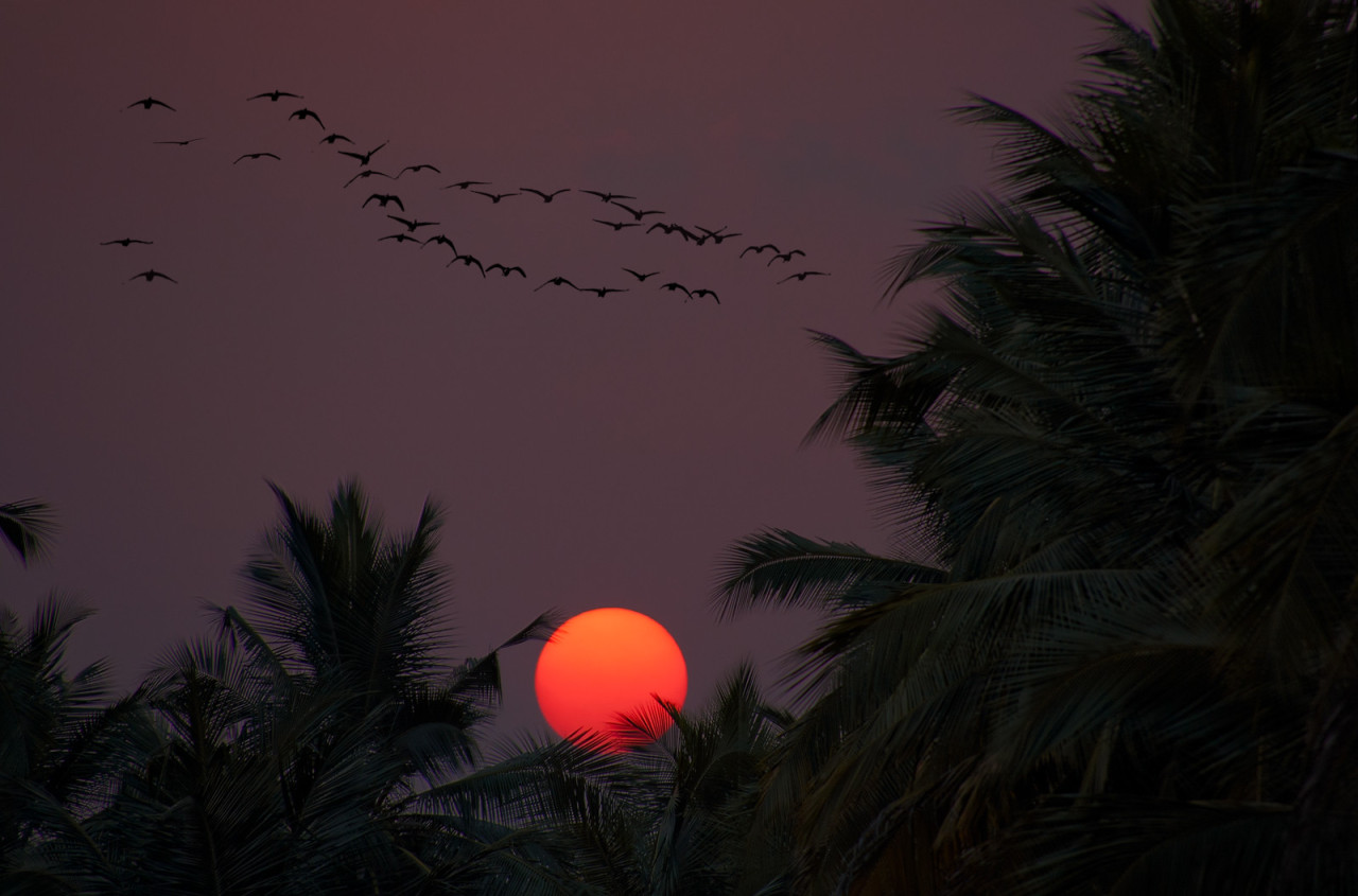 Archillect ID 385482