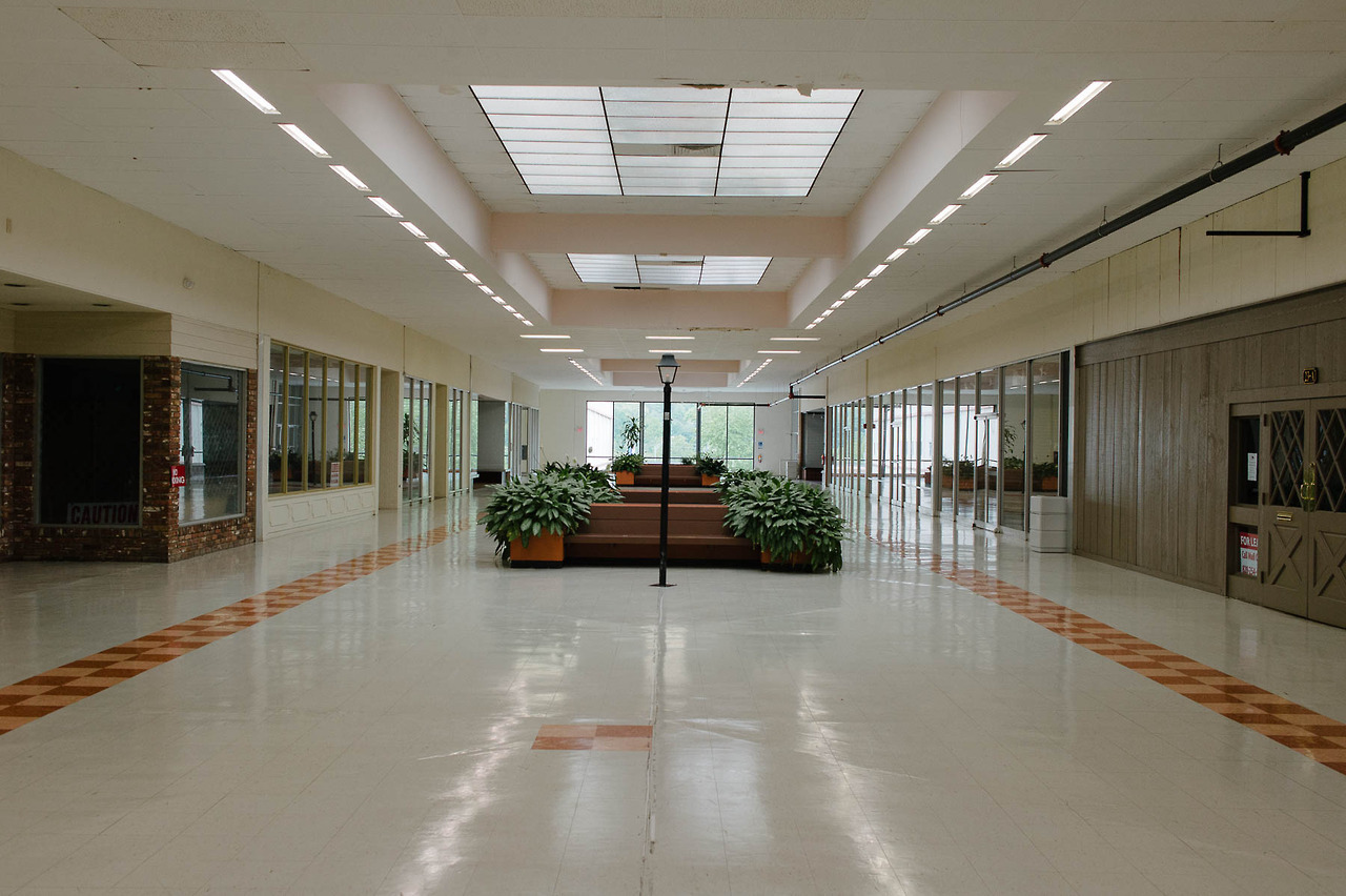 Archillect ID 385516