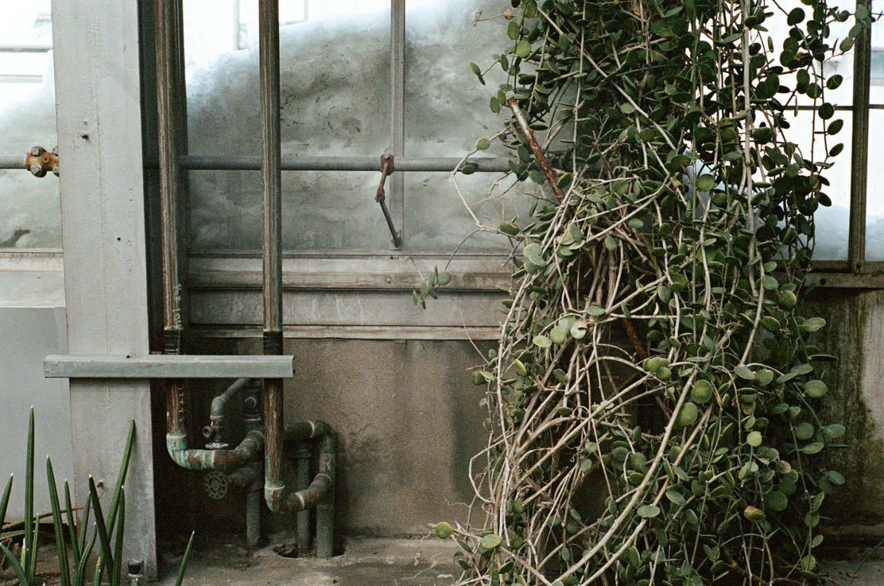 Archillect ID 385517