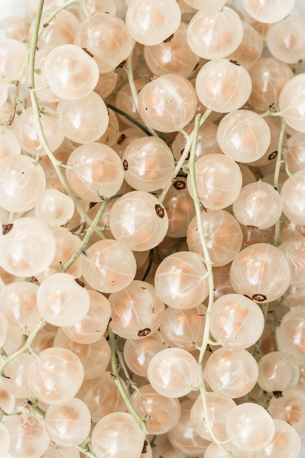 Archillect ID 385518