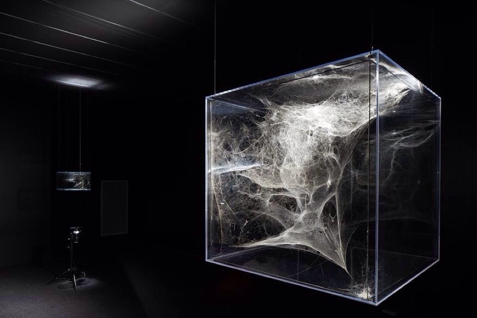 Archillect ID 385519