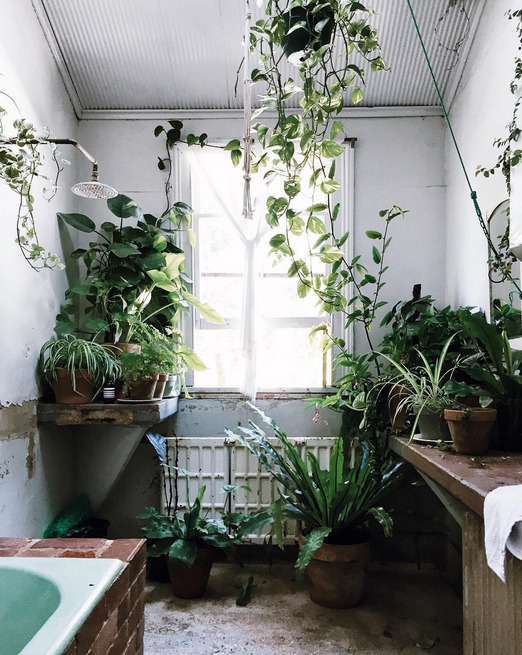 Archillect ID 385524