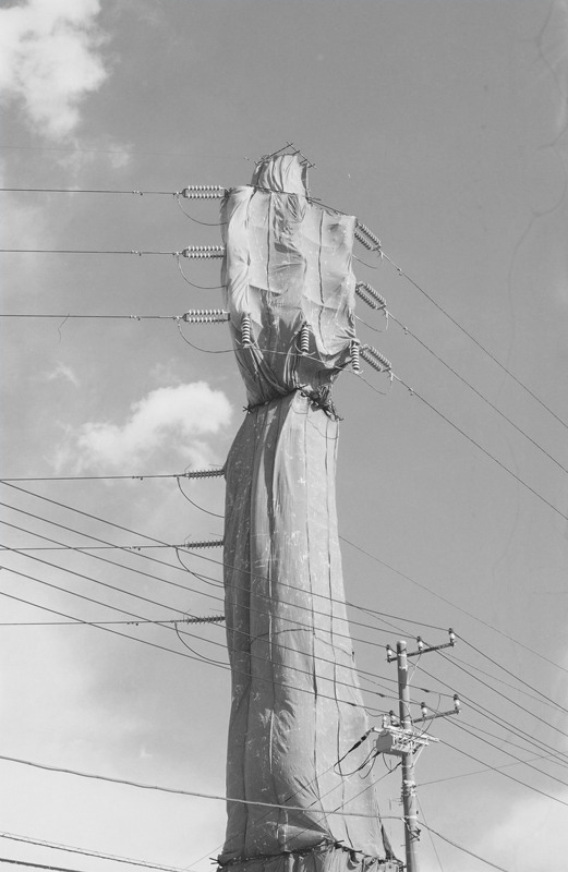 Archillect ID 385572