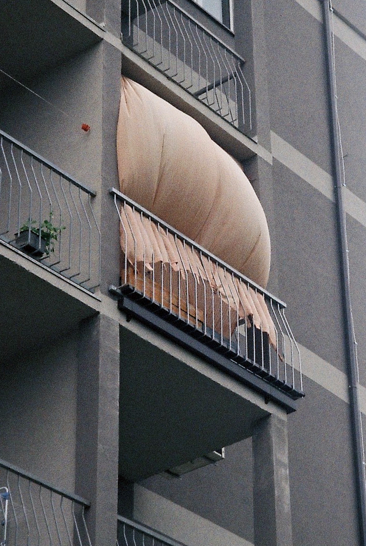 Archillect ID 385603