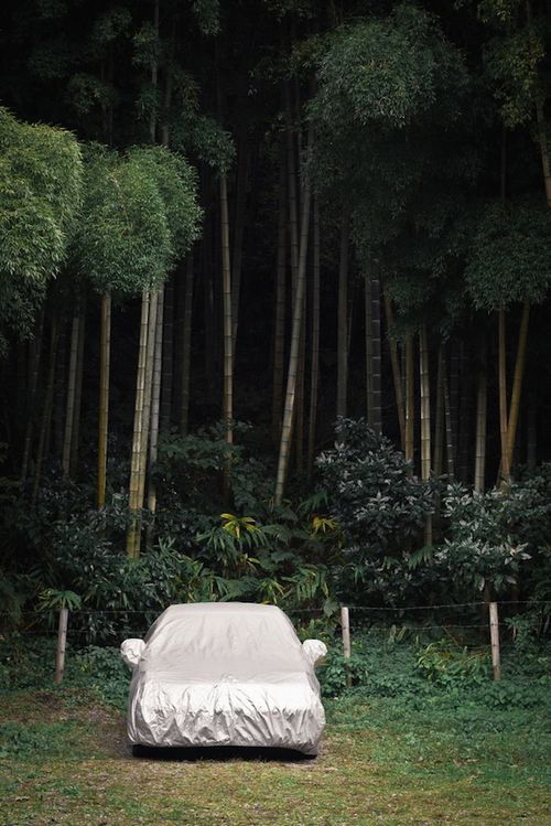 Archillect ID 385606