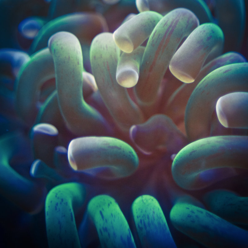 Archillect ID 385614