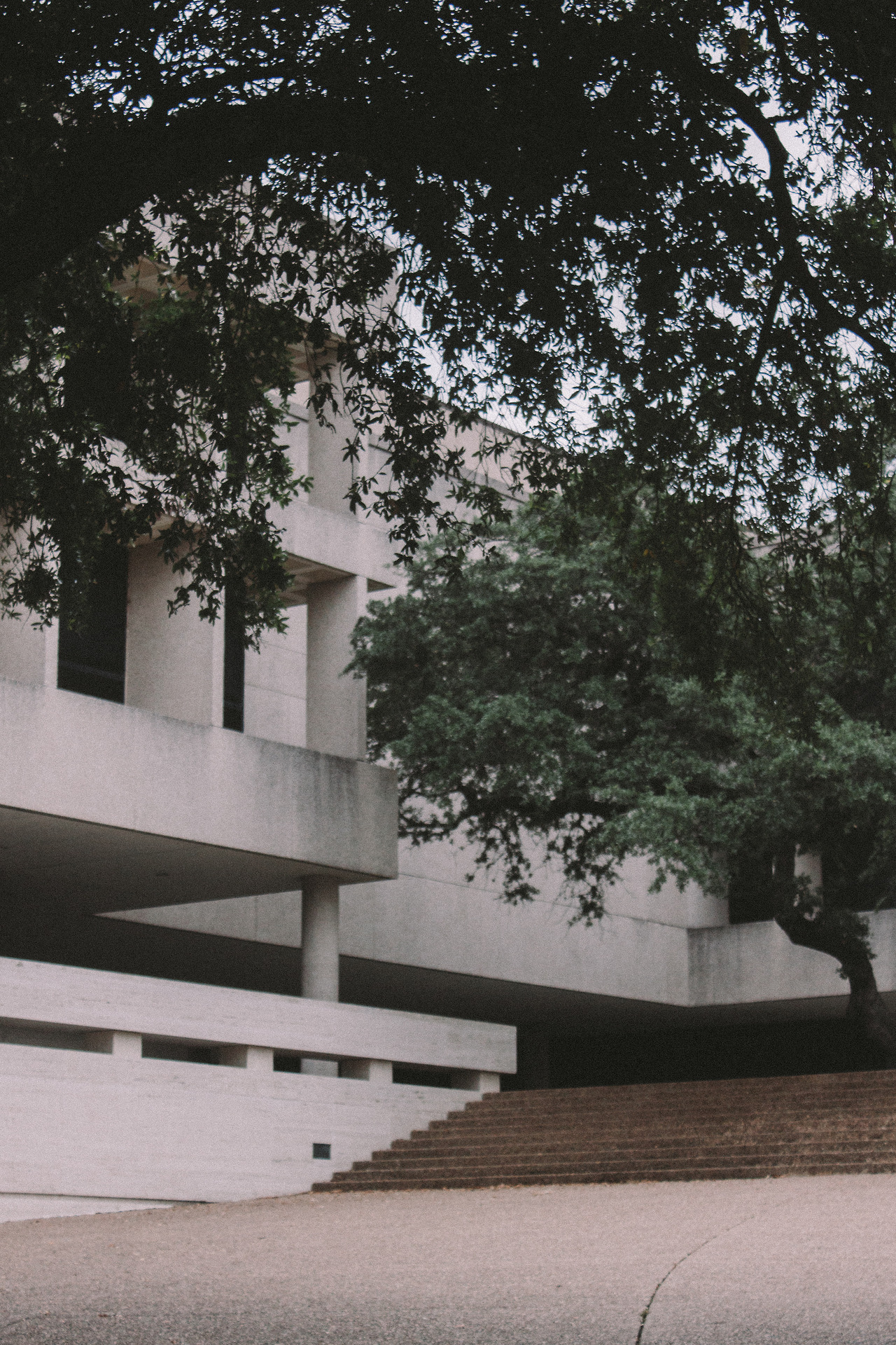 Archillect ID 385645