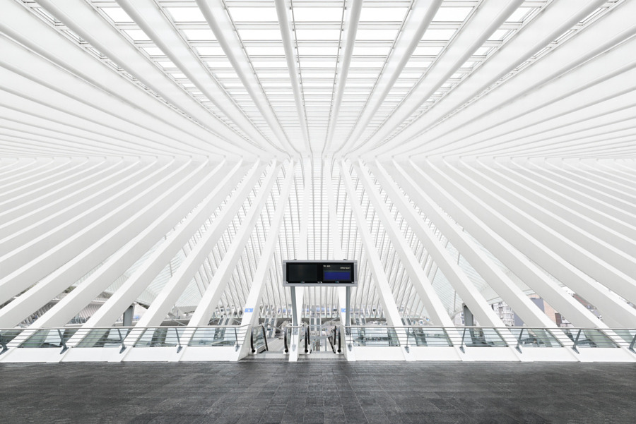 Archillect ID 385662