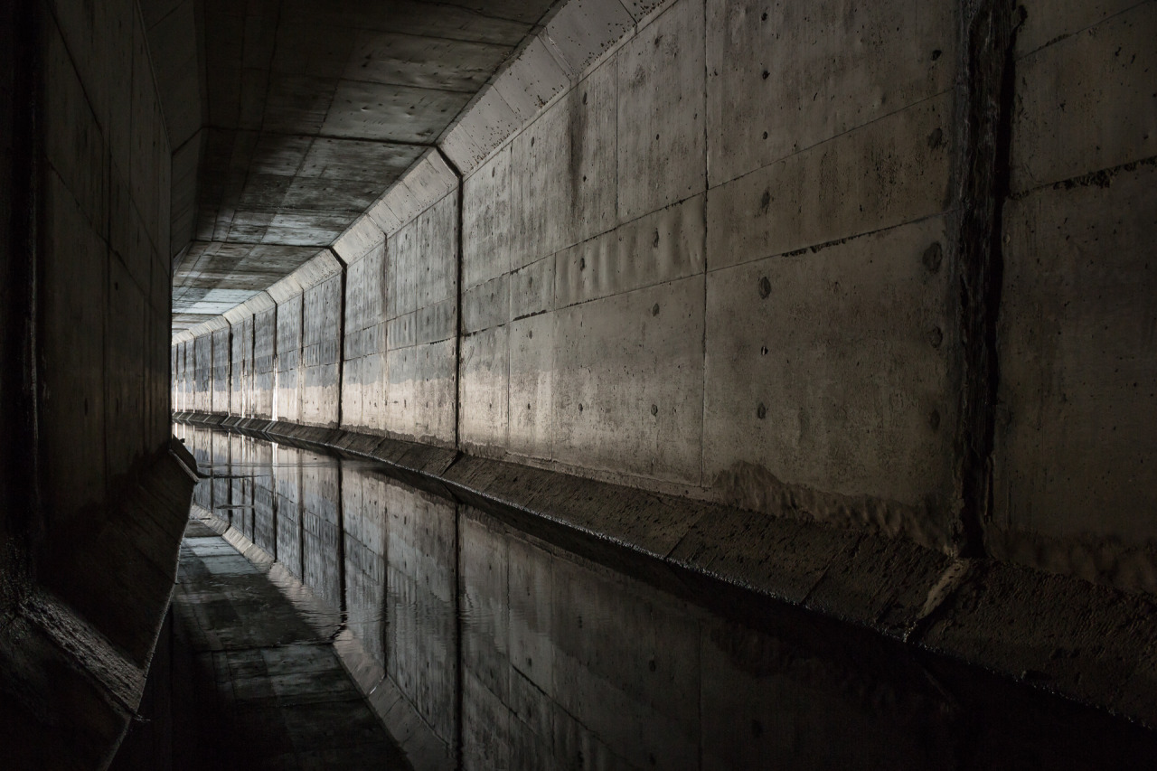 Archillect ID 385673