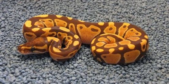 Archillect ID 385682