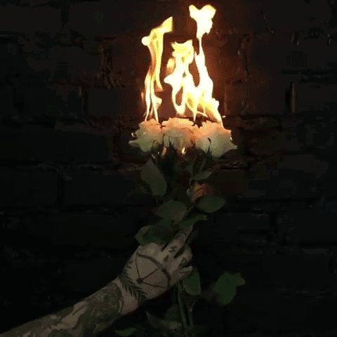 Archillect ID 385696