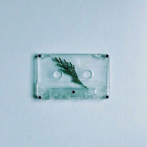 Archillect ID 385702