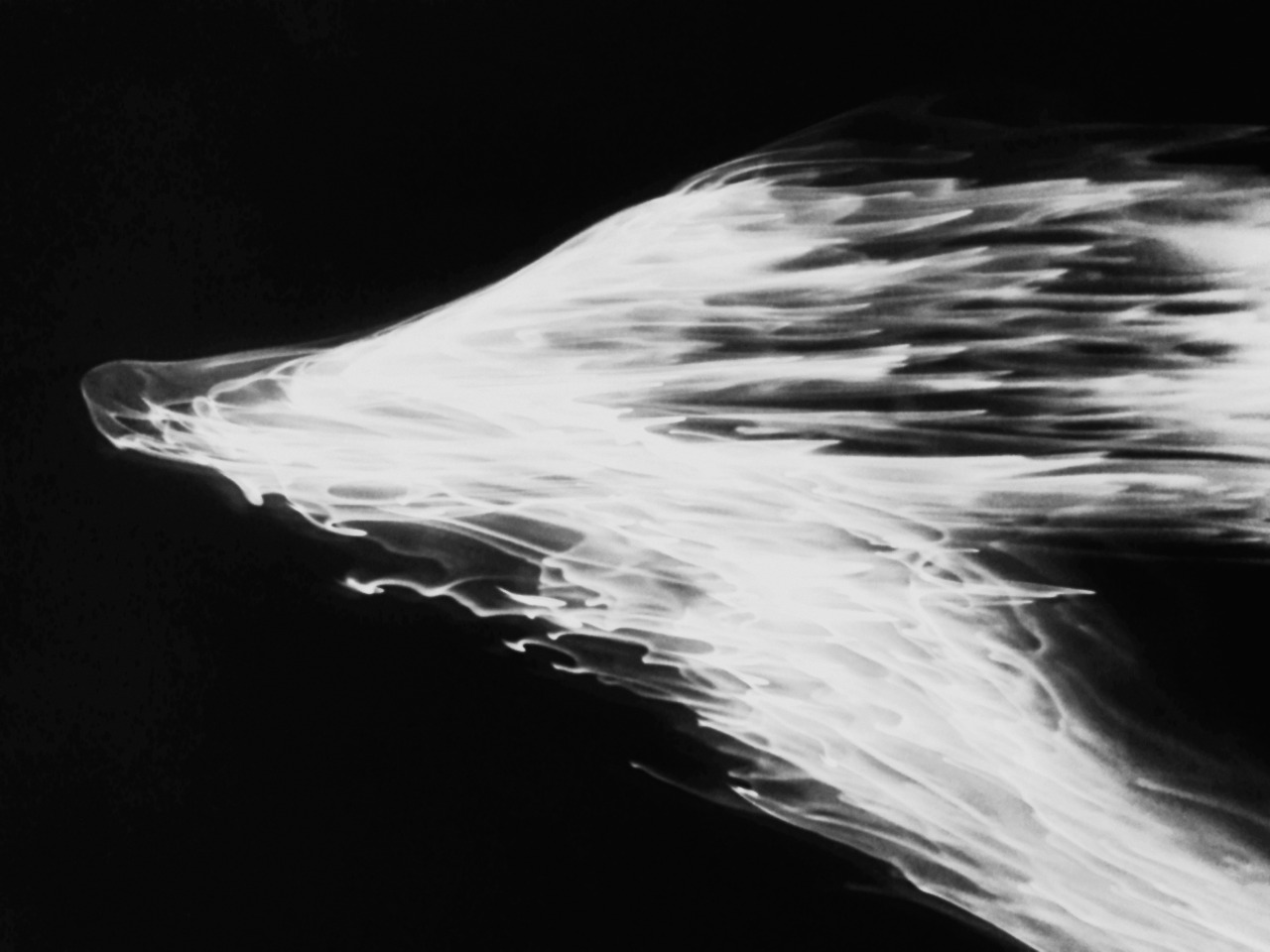 Archillect ID 385708