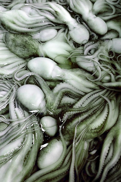 Archillect ID 385709