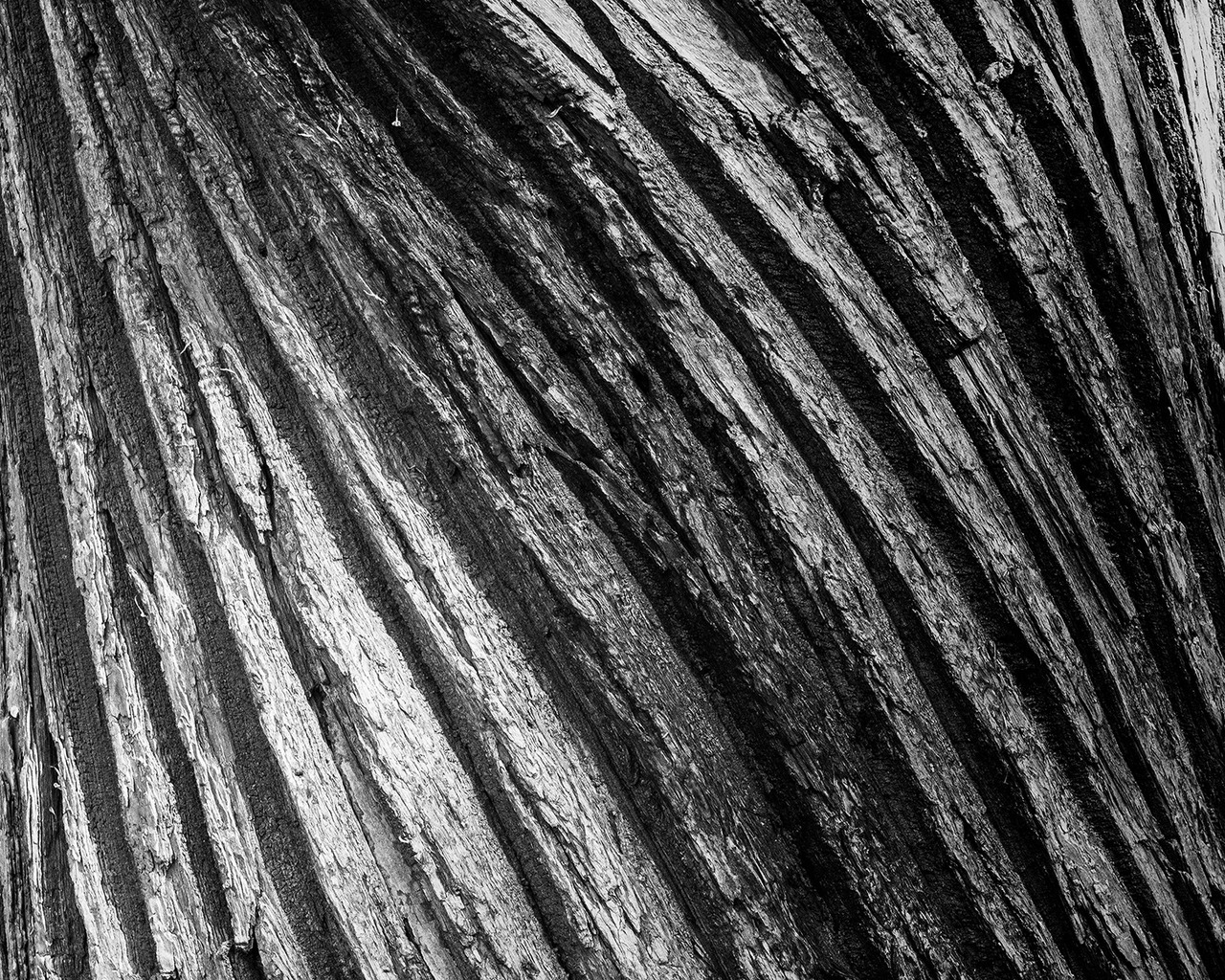 Archillect ID 385711