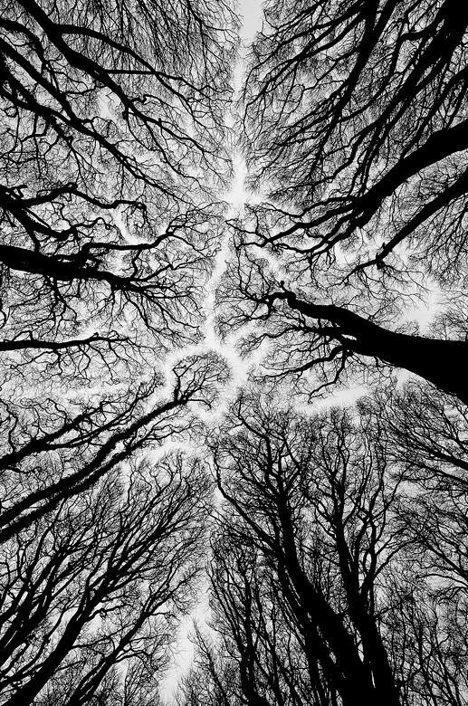 Archillect ID 385768