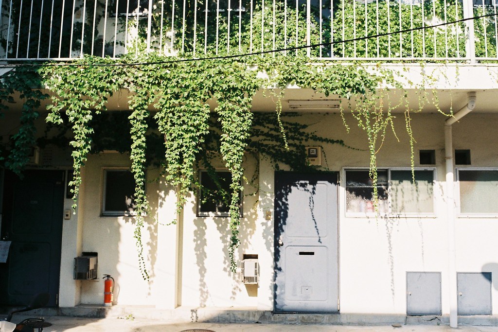 Archillect ID 385772