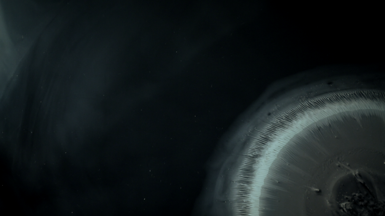 Archillect ID 385817