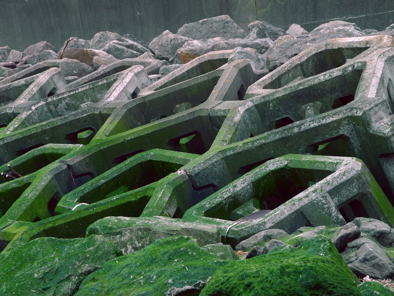 Archillect ID 385891