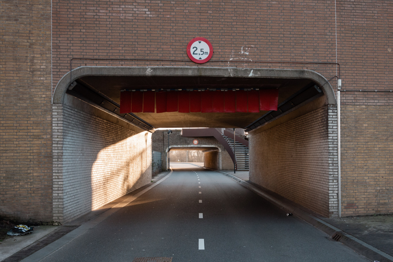 Archillect ID 385915