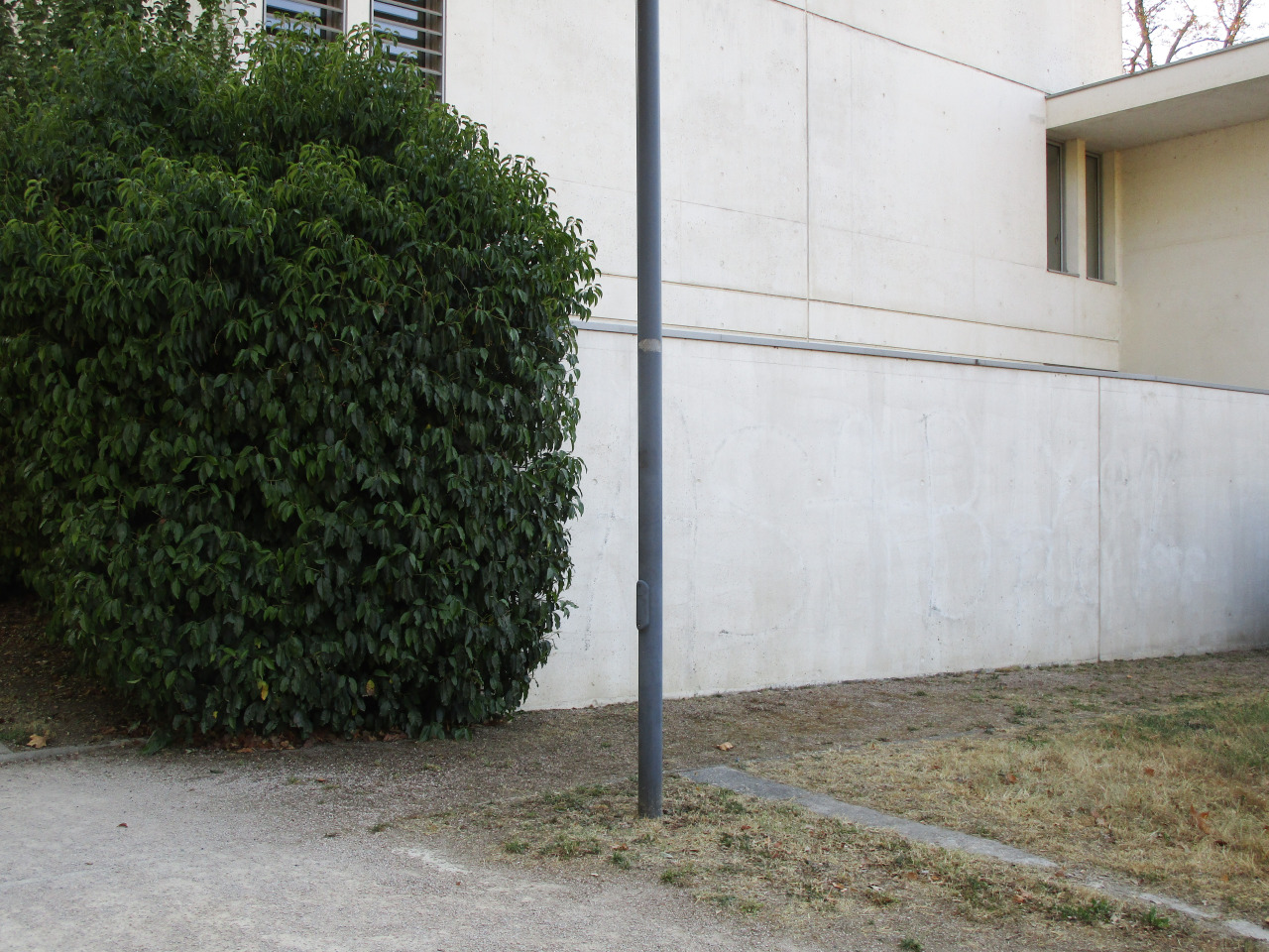 Archillect ID 385955