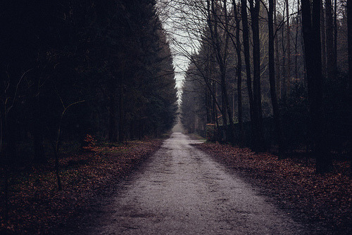 Archillect ID 385967