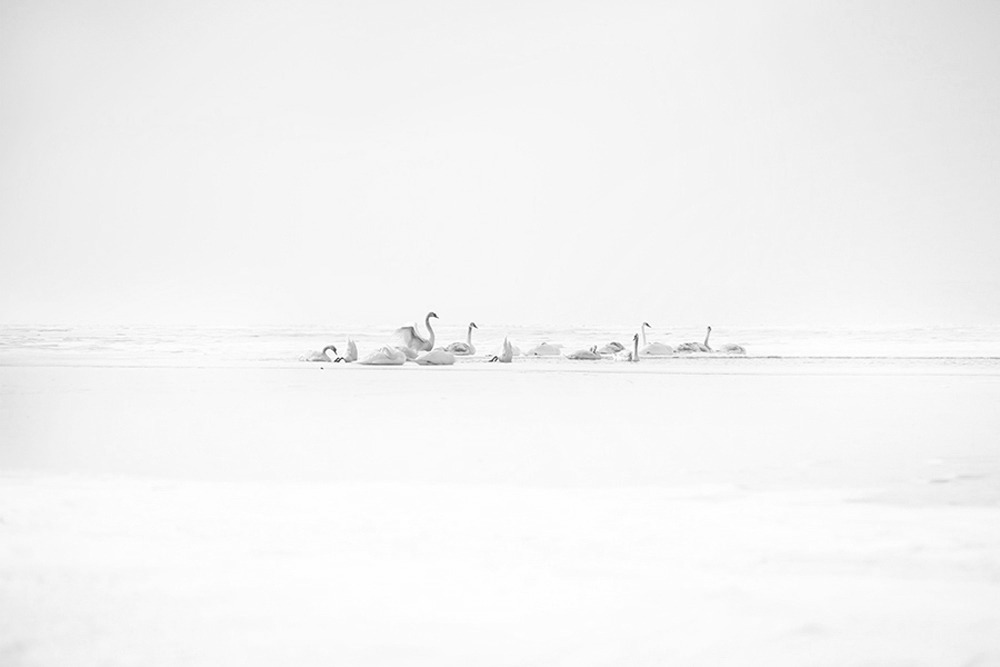 Archillect ID 385971