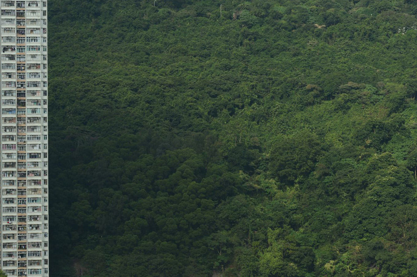 Archillect ID 385995