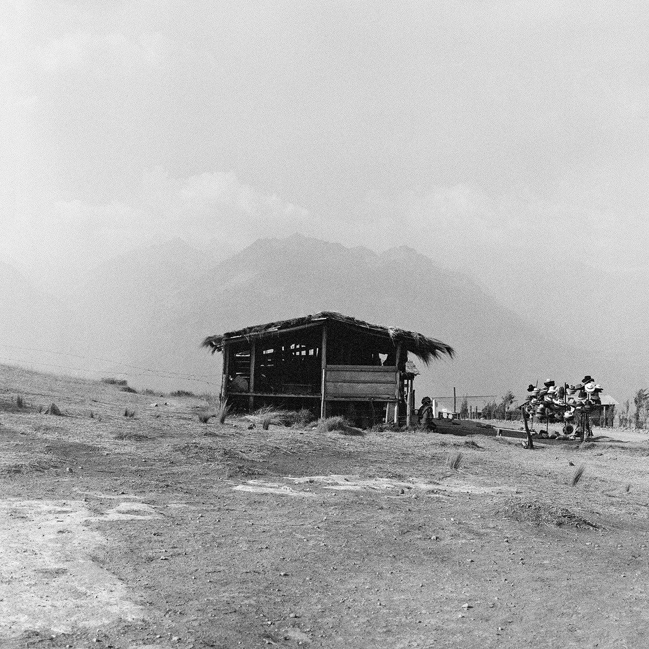 Archillect ID 386019