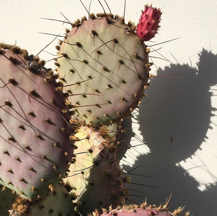 Archillect ID 386047