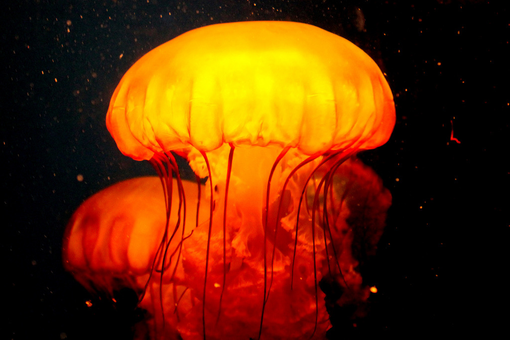 Archillect ID 386052