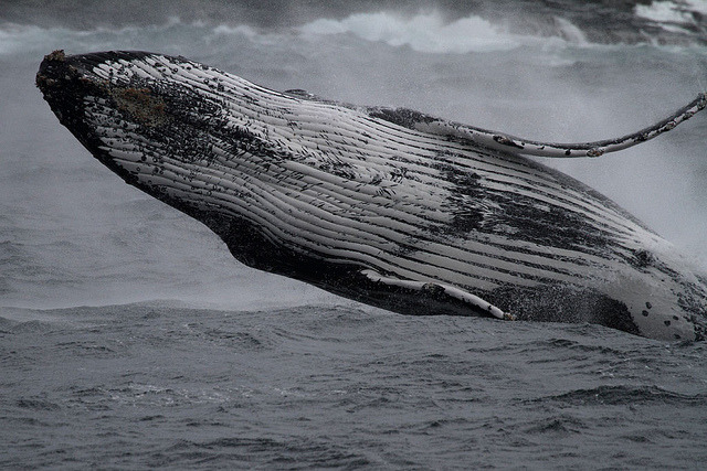 Archillect ID 386074