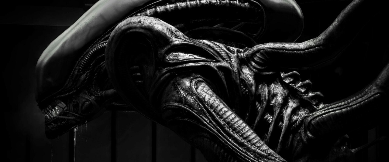 Archillect ID 386119