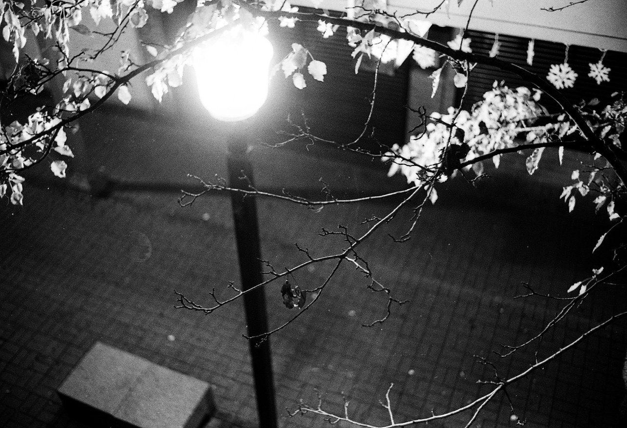 Archillect ID 386213