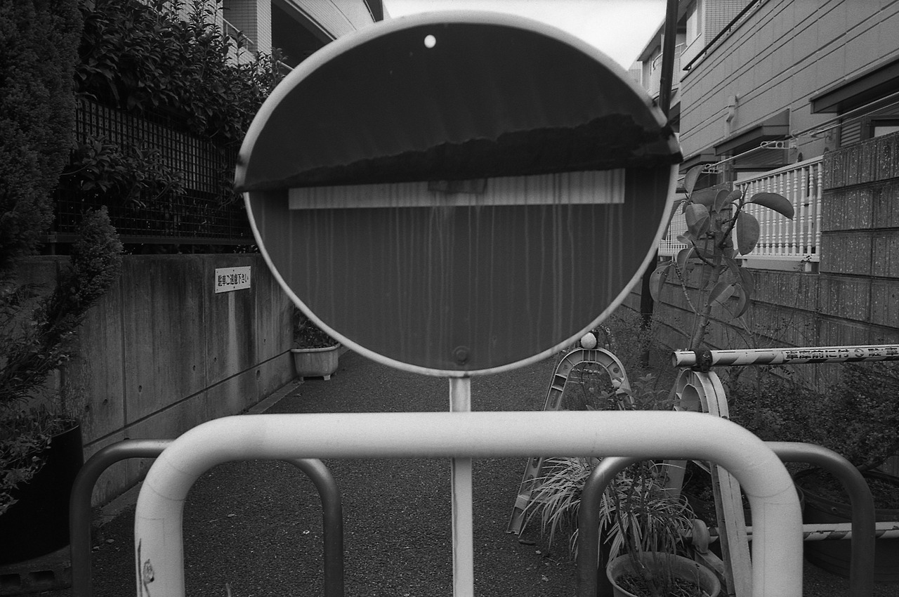 Archillect ID 386267