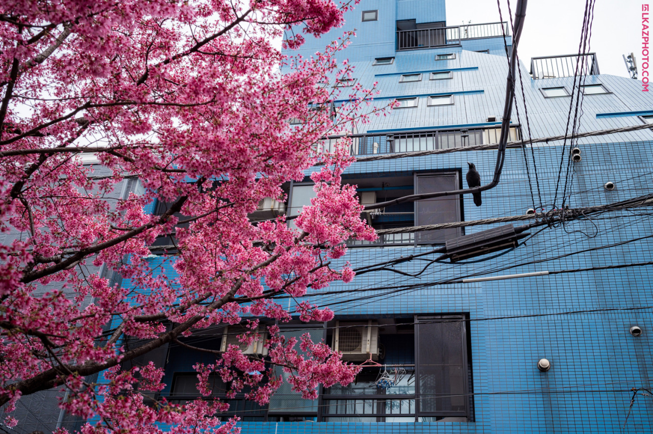 Archillect ID 386289