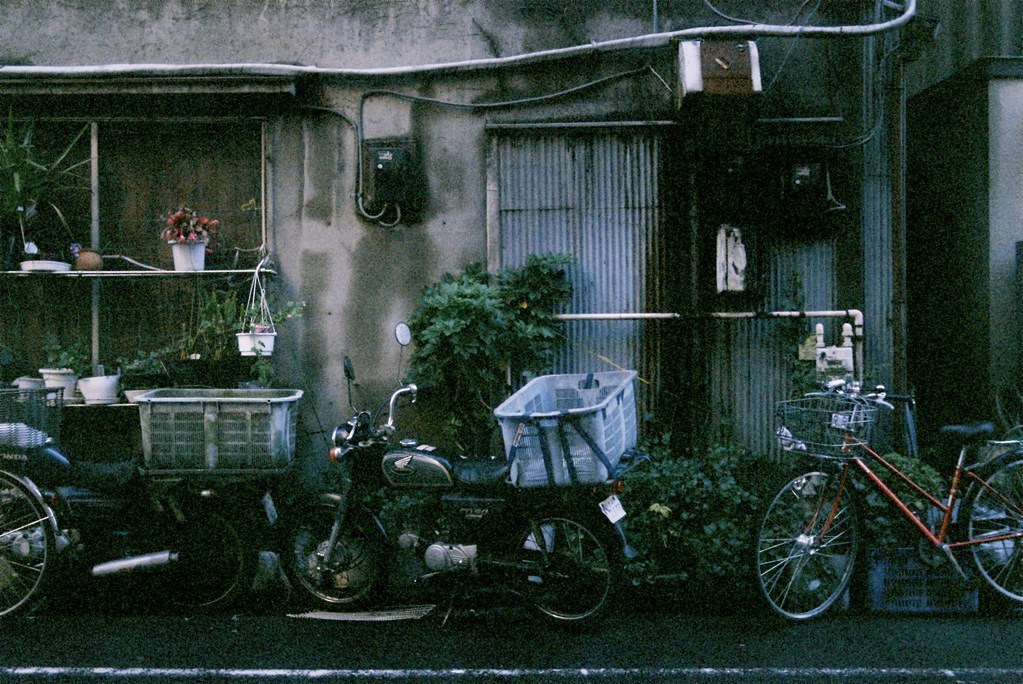 Archillect ID 386294