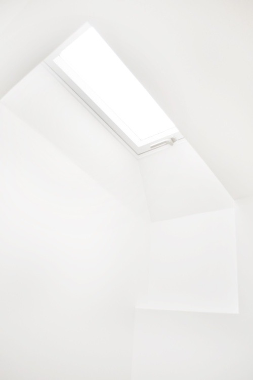 Archillect ID 386408