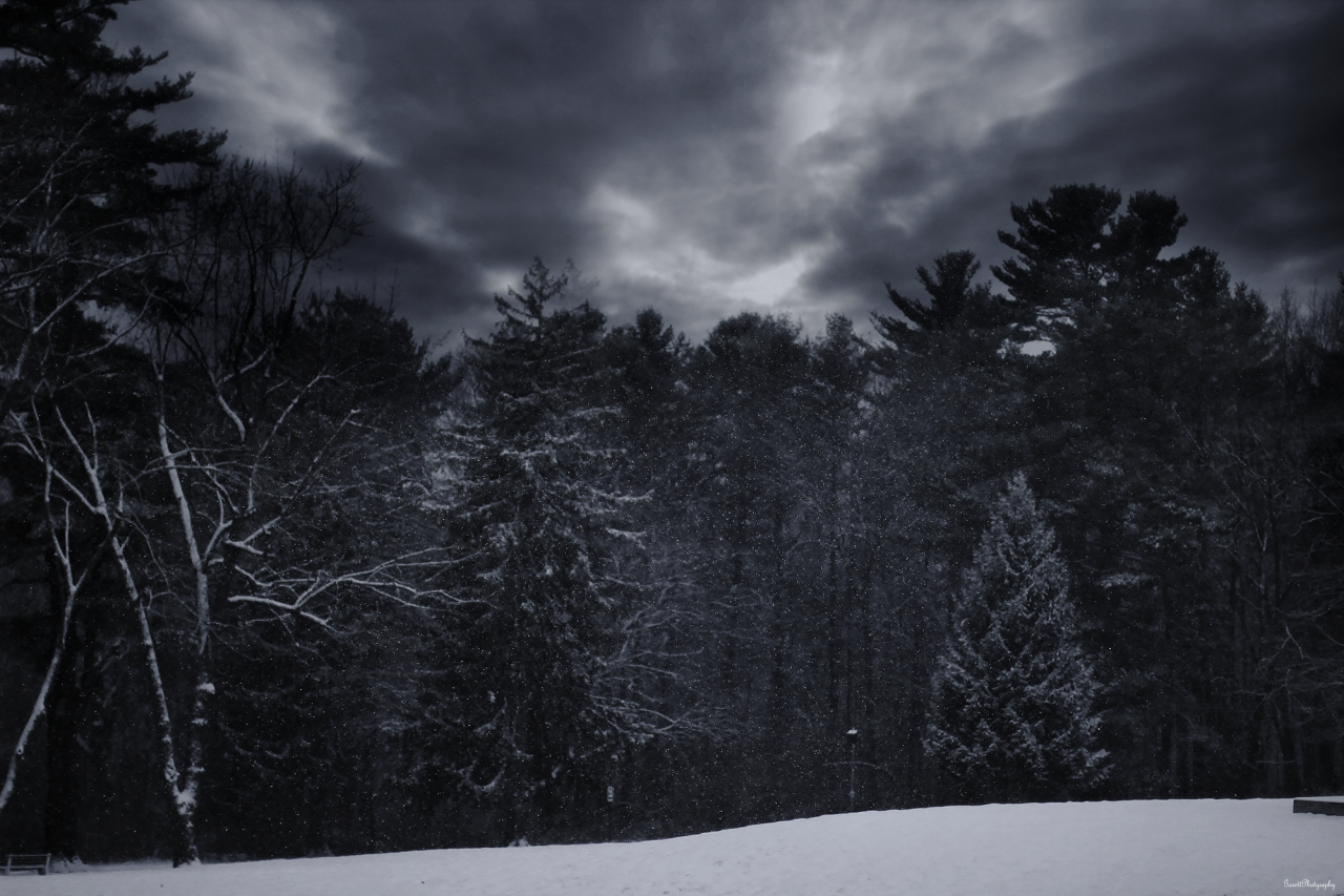 Archillect ID 386418